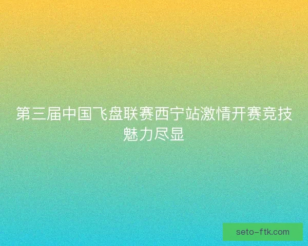 第三届中国飞盘联赛西宁站激情开赛竞技魅力尽显